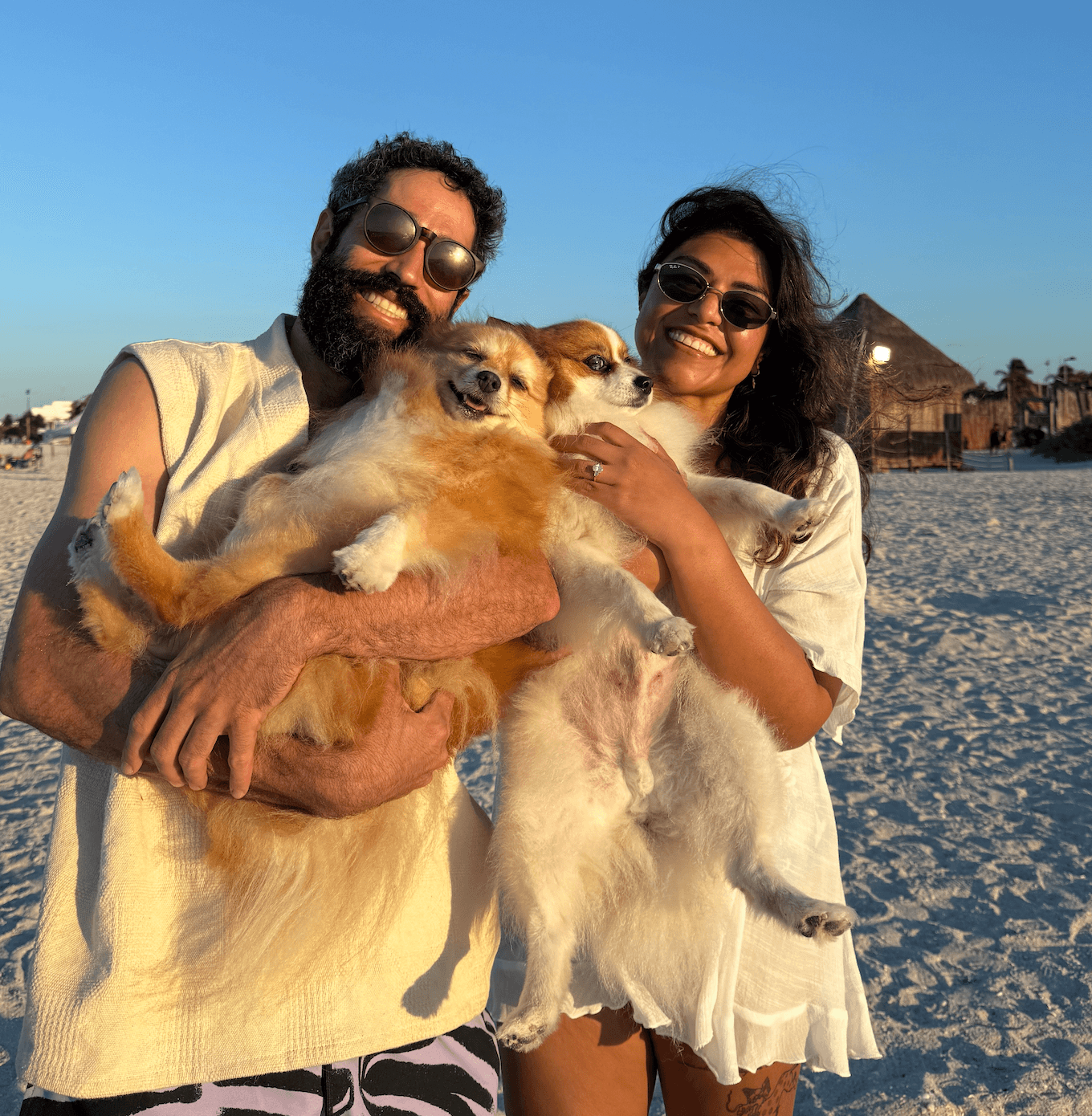 Alejandra and Stephen on the beach with their dogs